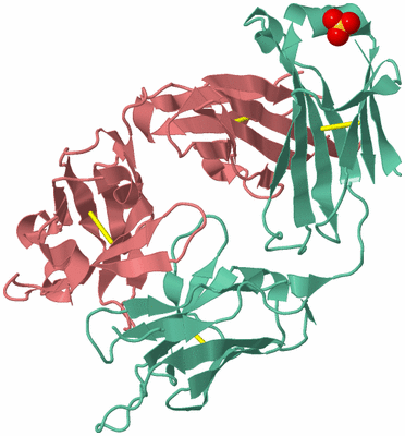 Image Biological Unit 2