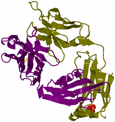 Image Biological Unit 3