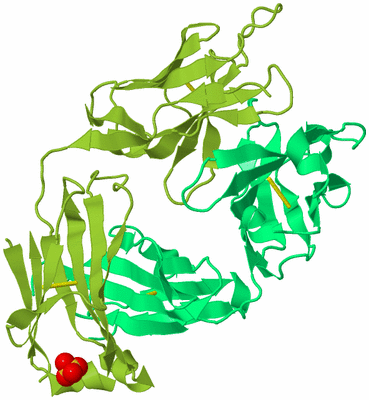 Image Biological Unit 4