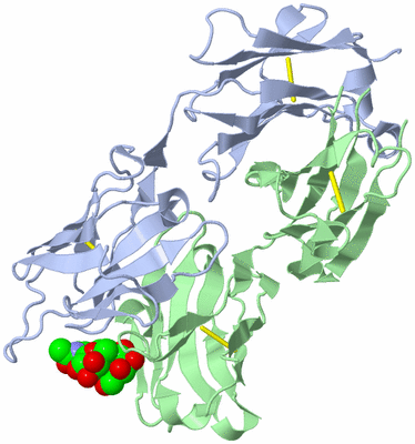 Image Biological Unit 1