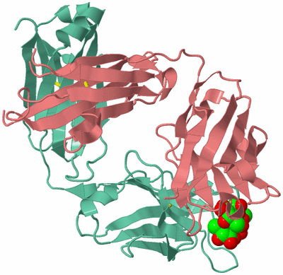 Image Biological Unit 2