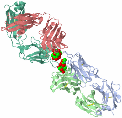 Image Biological Unit 3