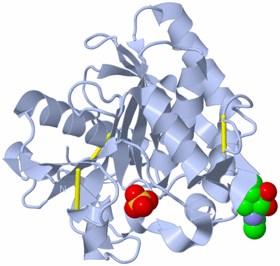 Image Biological Unit 1