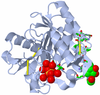 Image Biol. Unit 1 - sites