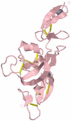 Image Biological Unit 3