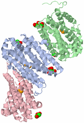 Image Asymmetric Unit