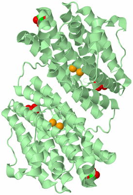 Image Biological Unit 2