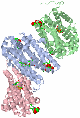 Image Asym. Unit - sites