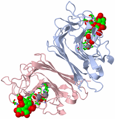 Image Biol. Unit 1 - sites