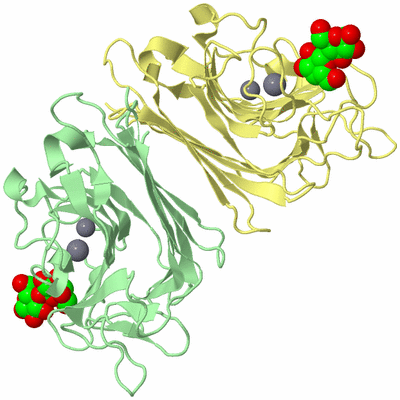 Image Biological Unit 2