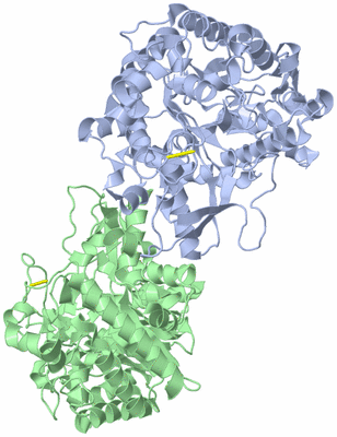 Image Biological Unit 1