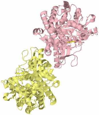 Image Biological Unit 2