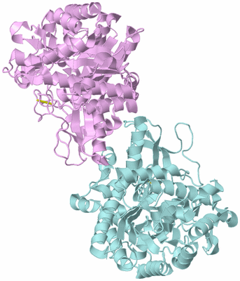 Image Biological Unit 3