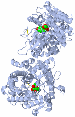 Image Biological Unit 1