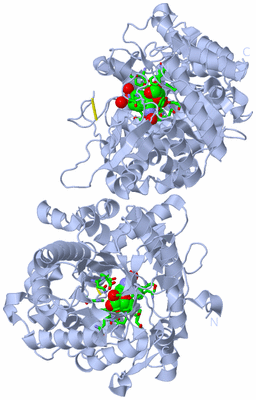 Image Biol. Unit 1 - sites