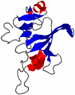 Image NMR Structure - model 1