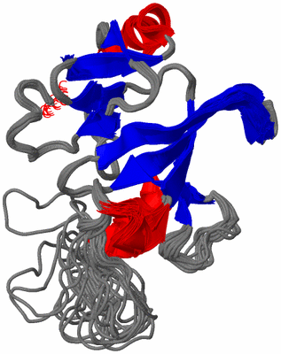 Image NMR Structure - all models