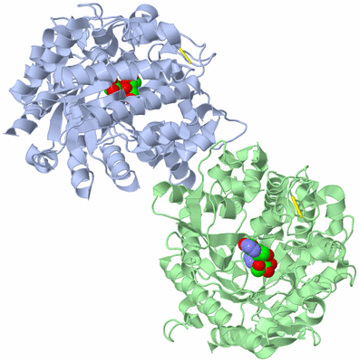 Image Asym./Biol. Unit