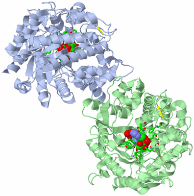 Image Asym./Biol. Unit - sites