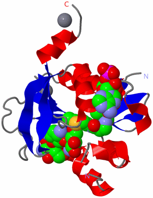 Image Asym./Biol. Unit