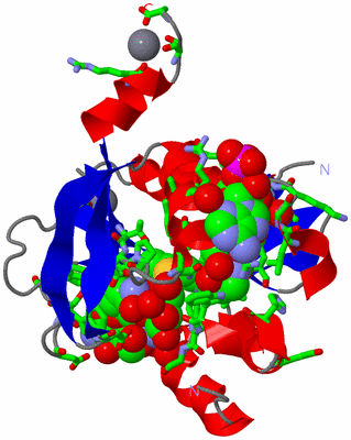 Image Asym./Biol. Unit - sites