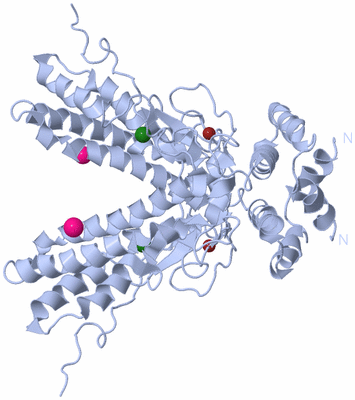 Image Biological Unit 1