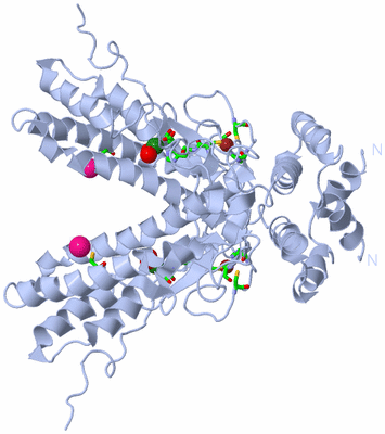 Image Biol. Unit 1 - sites