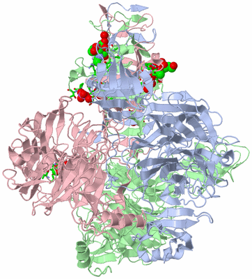 Image Biol. Unit 1 - sites