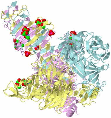 Image Biological Unit 2