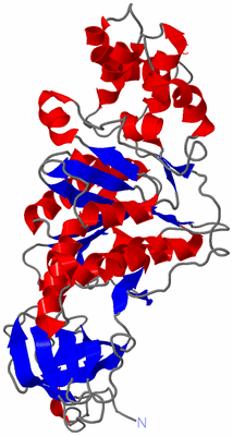 Image Theoretical Model