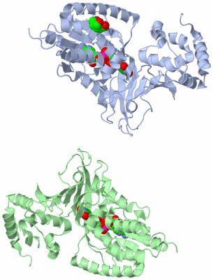 Image Biological Unit 1