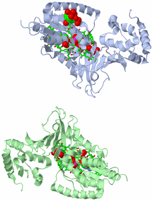 Image Biol. Unit 1 - sites