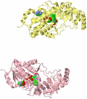 Image Biological Unit 2