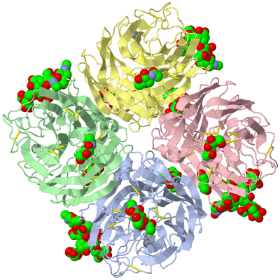 Image Asym./Biol. Unit