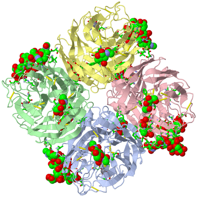 Image Asym./Biol. Unit - sites