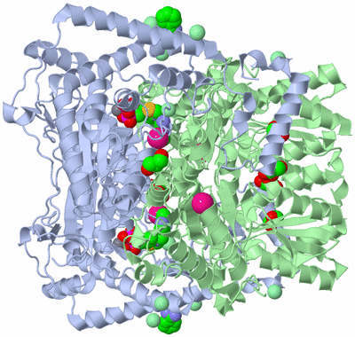 Image Biological Unit 1