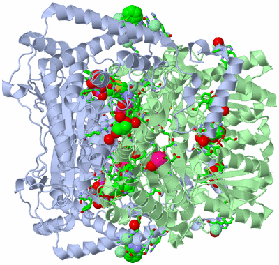 Image Biol. Unit 1 - sites