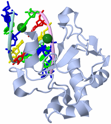 Image Biological Unit 1