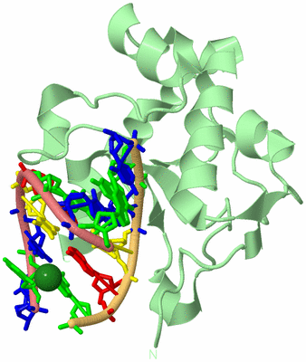 Image Biological Unit 2