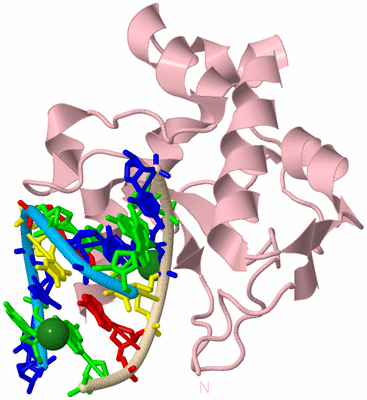 Image Biological Unit 3