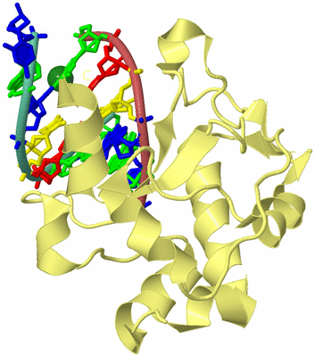 Image Biological Unit 4