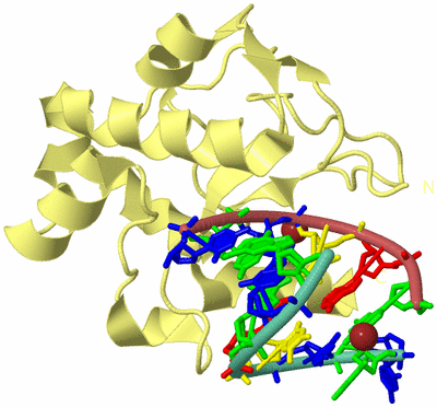 Image Biological Unit 4