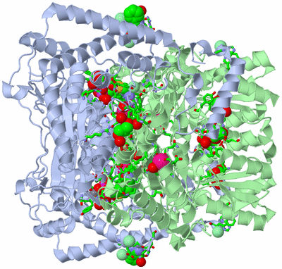 Image Biol. Unit 1 - sites