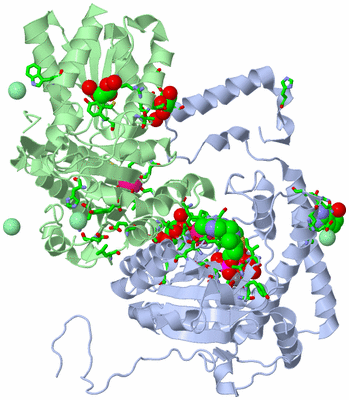 Image Asym. Unit - sites