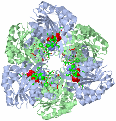 Image Biol. Unit 1 - sites