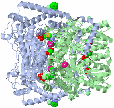 Image Biological Unit 1