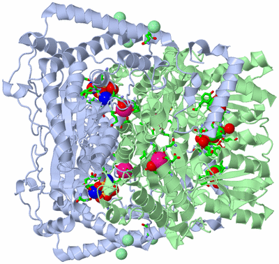 Image Biol. Unit 1 - sites