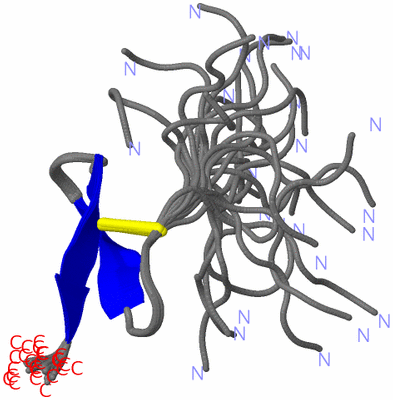 Image NMR Structure - all models