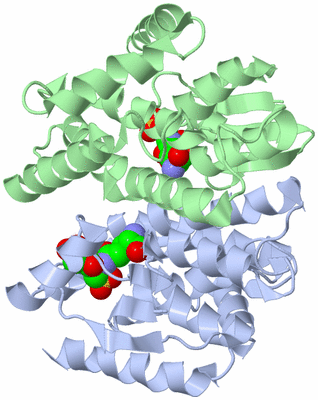 Image Biological Unit 1