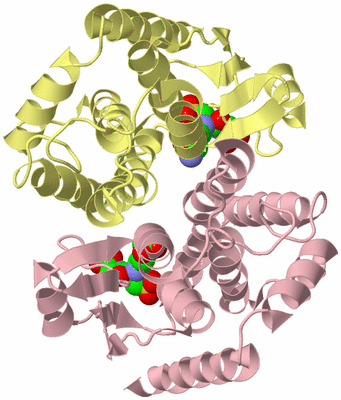 Image Biological Unit 2